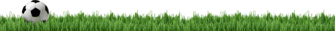 grass