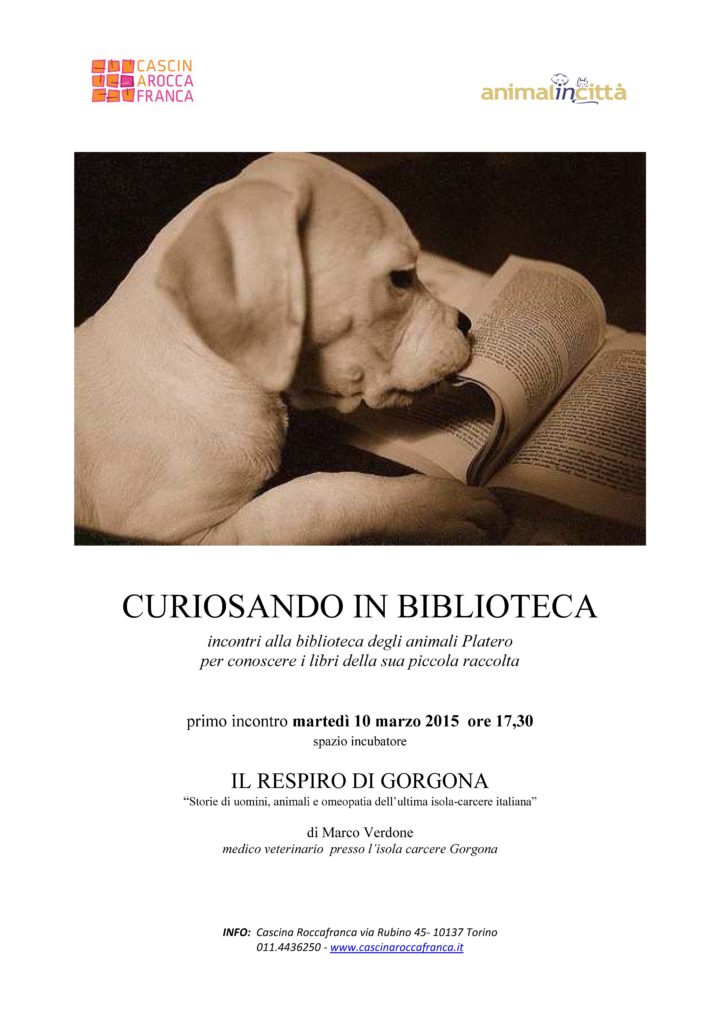 CURIOSANDO IN BIBLIOTECA (3)