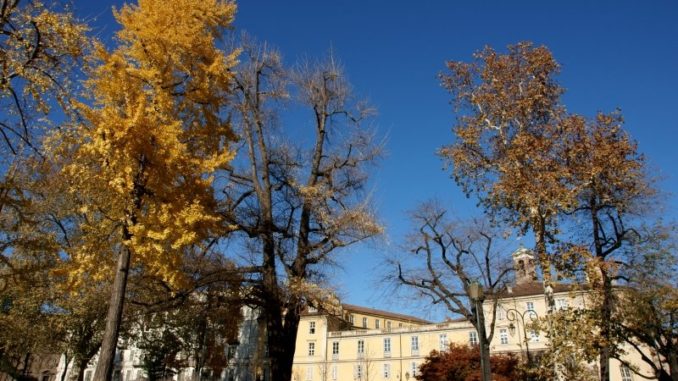 cavour