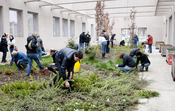 hortus 1