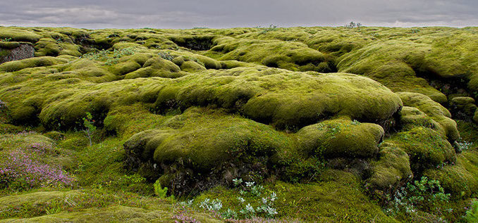 imgp6883a-crop-u1279