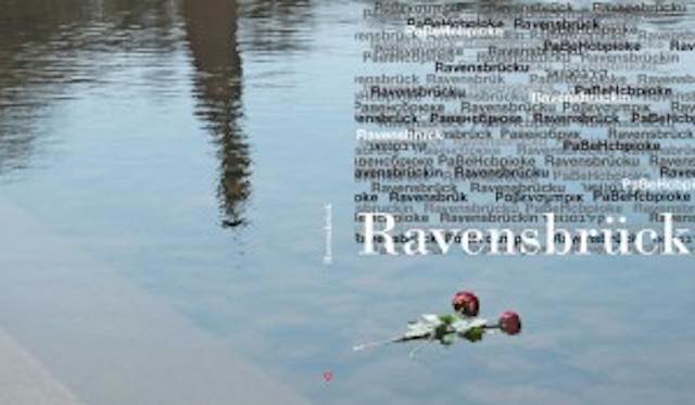 raven1