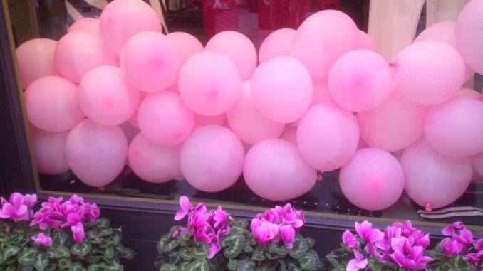via en rose 1
