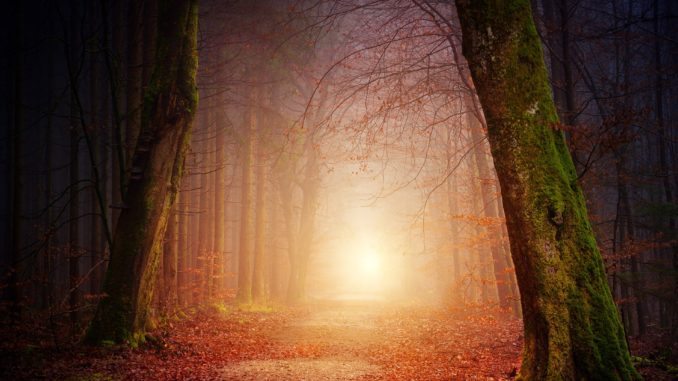 nature-3151869_1920