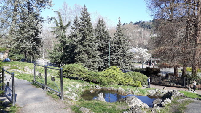 20190316_151019