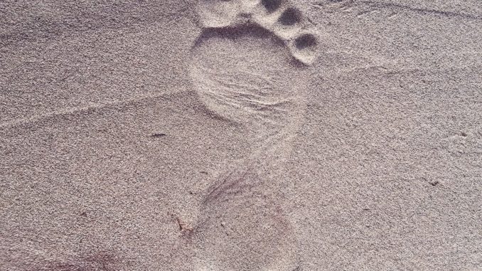 footprint-2624609_1920