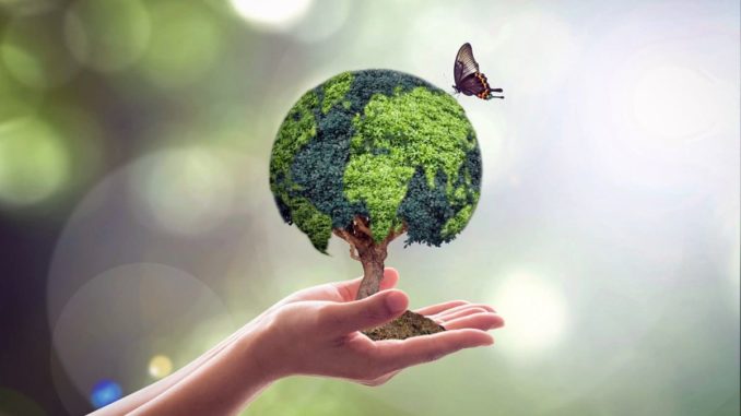 green-food-week-programma