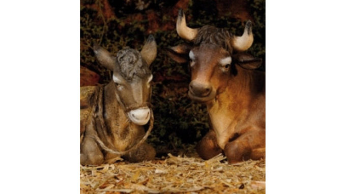 Bue_Asinello_Presepe_Immanuel-large