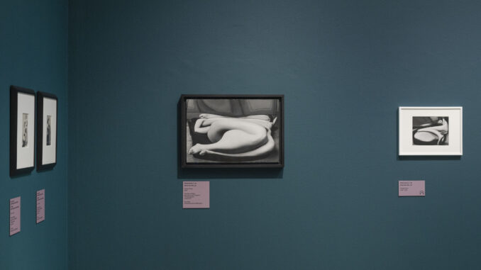 Rachele Nani_André Kertész_01